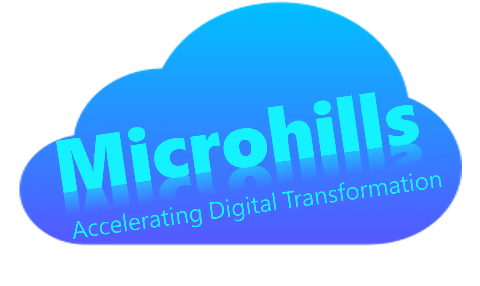 Microhills web designs, app development, cybersecurity and biometrics